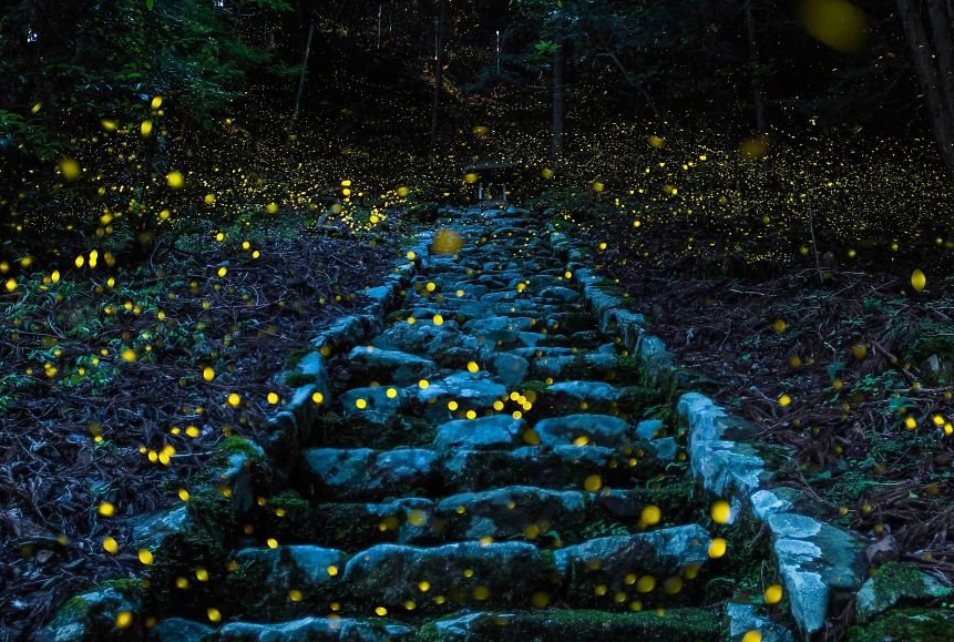 National Geographic best travel photos