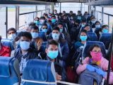 coronavirus effects india
